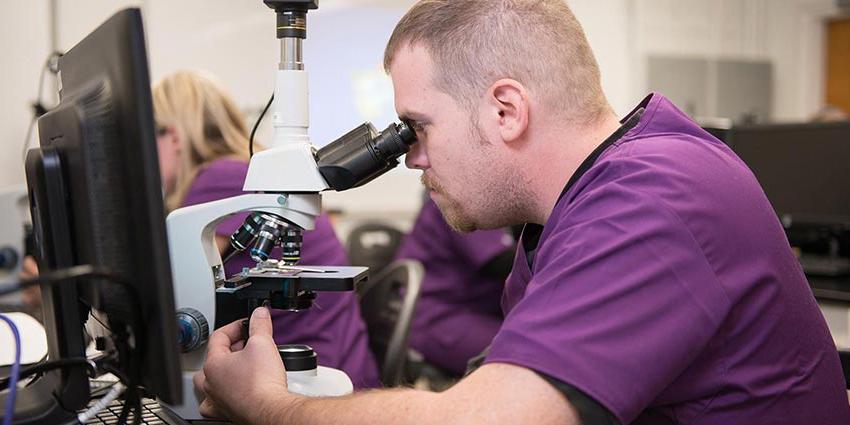 A dhsc online degree student looking into a microscope